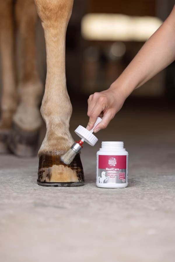 MagicBrush Hoof Oil Yellow m/Børste 425ml