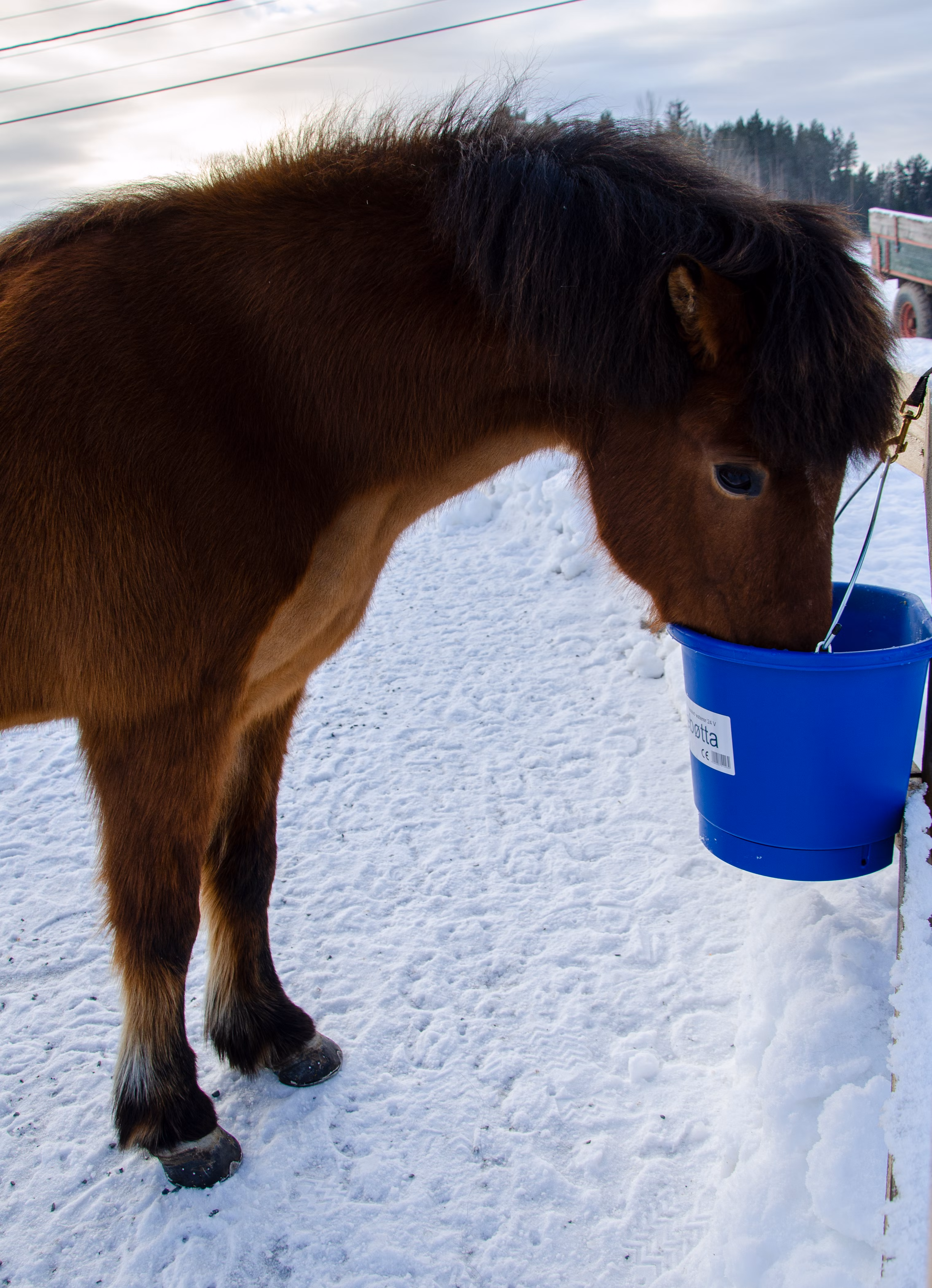 Varmebøtte 20L inkl omformer