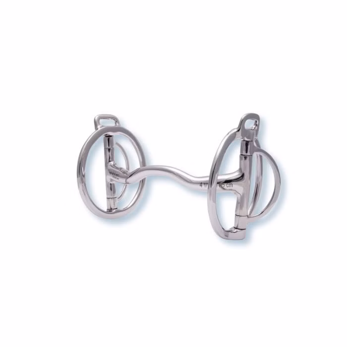 Bitt Stübben Danish Guard Helt