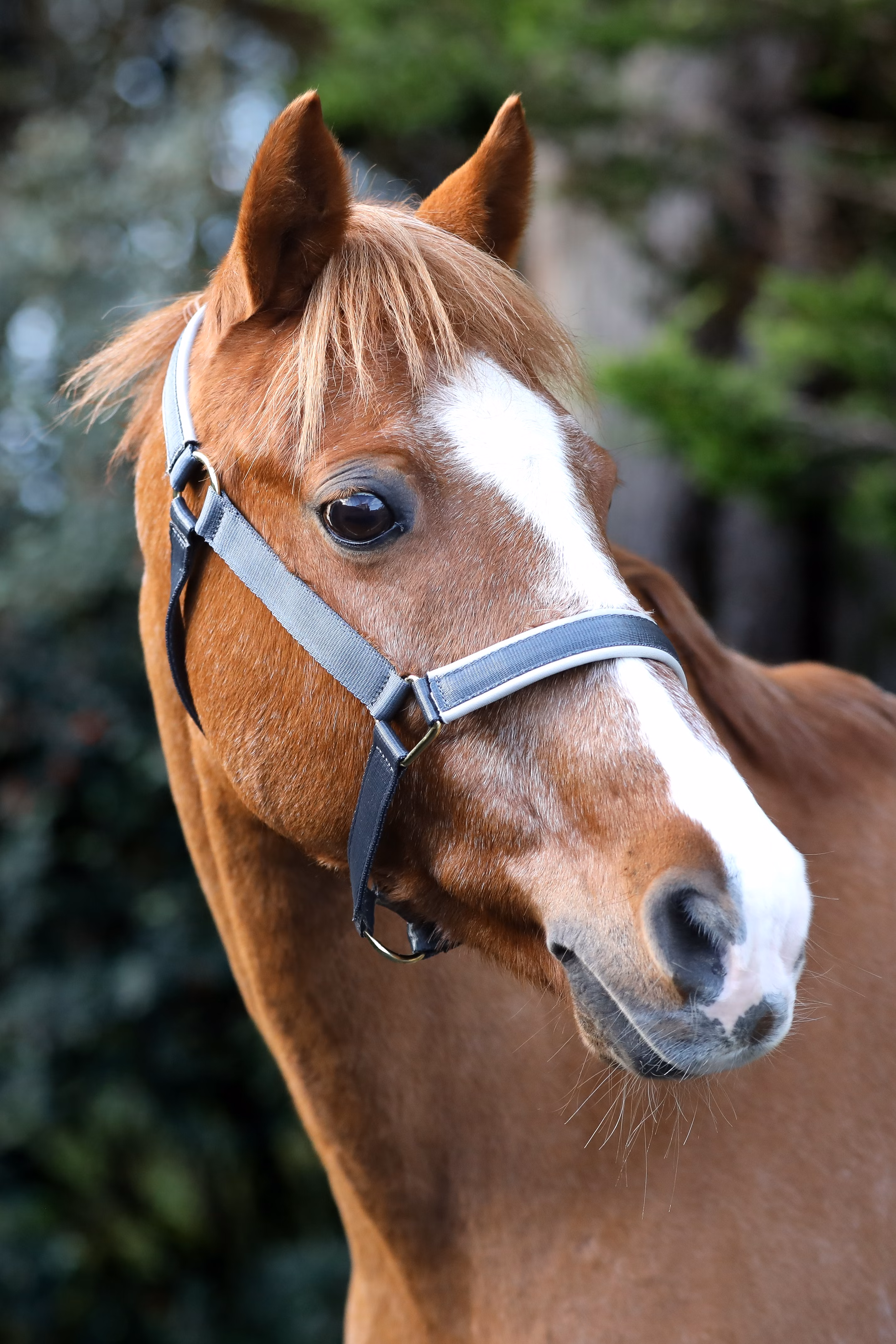 Grime Dublin Iron Gate