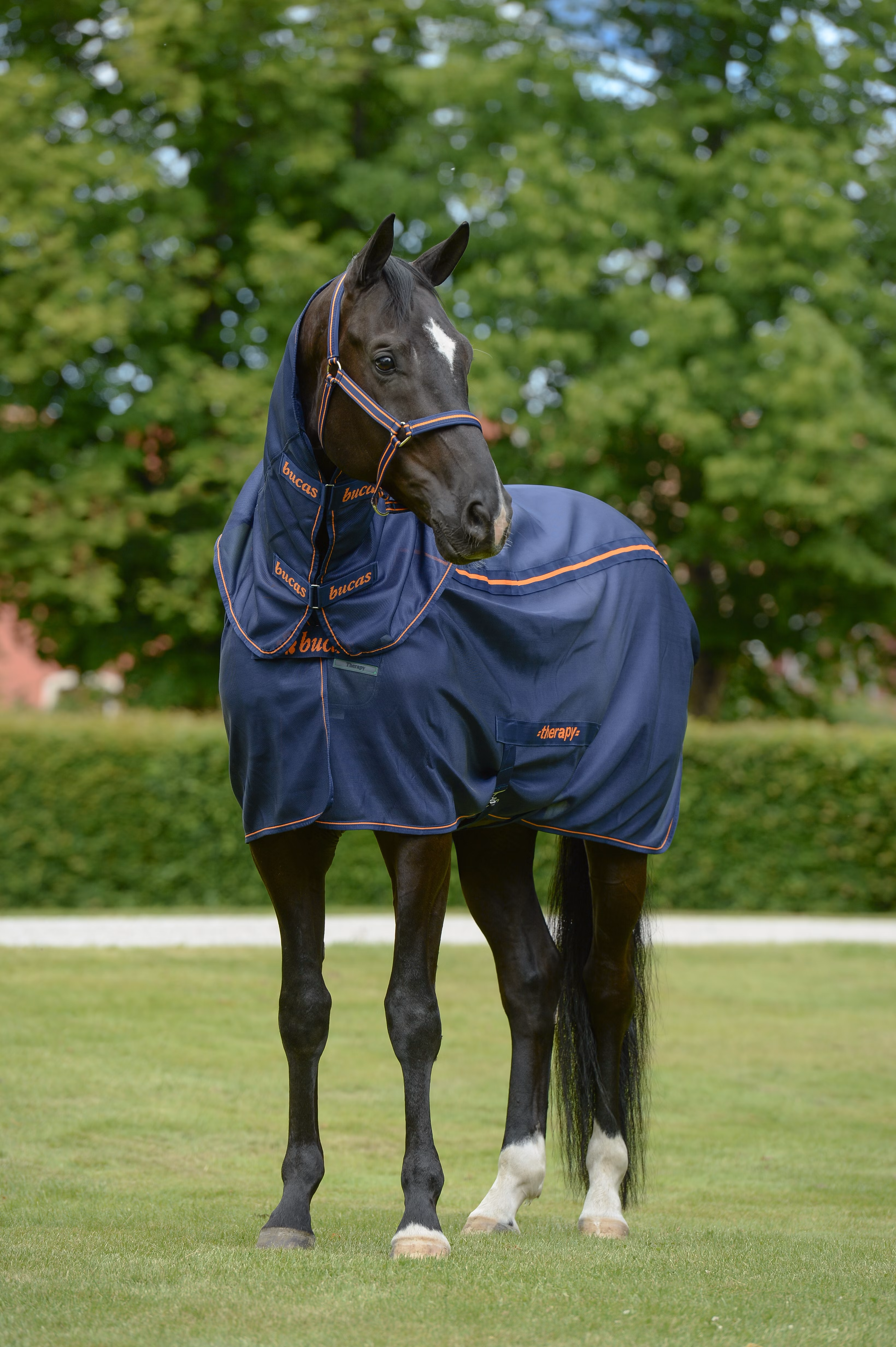 Bucas Therapy Mesh Cooler