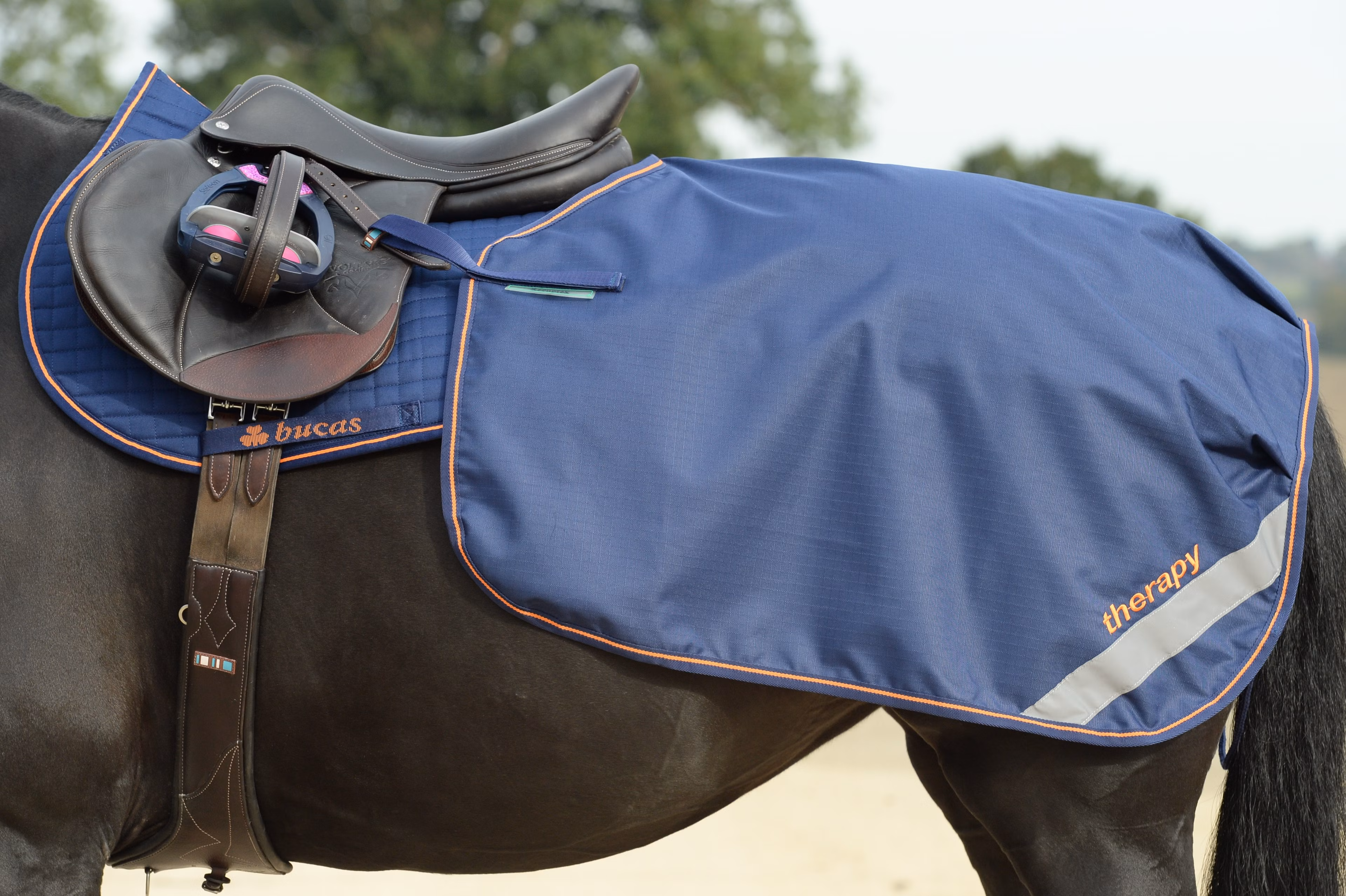 Bucas Therapy Quarter Sheet