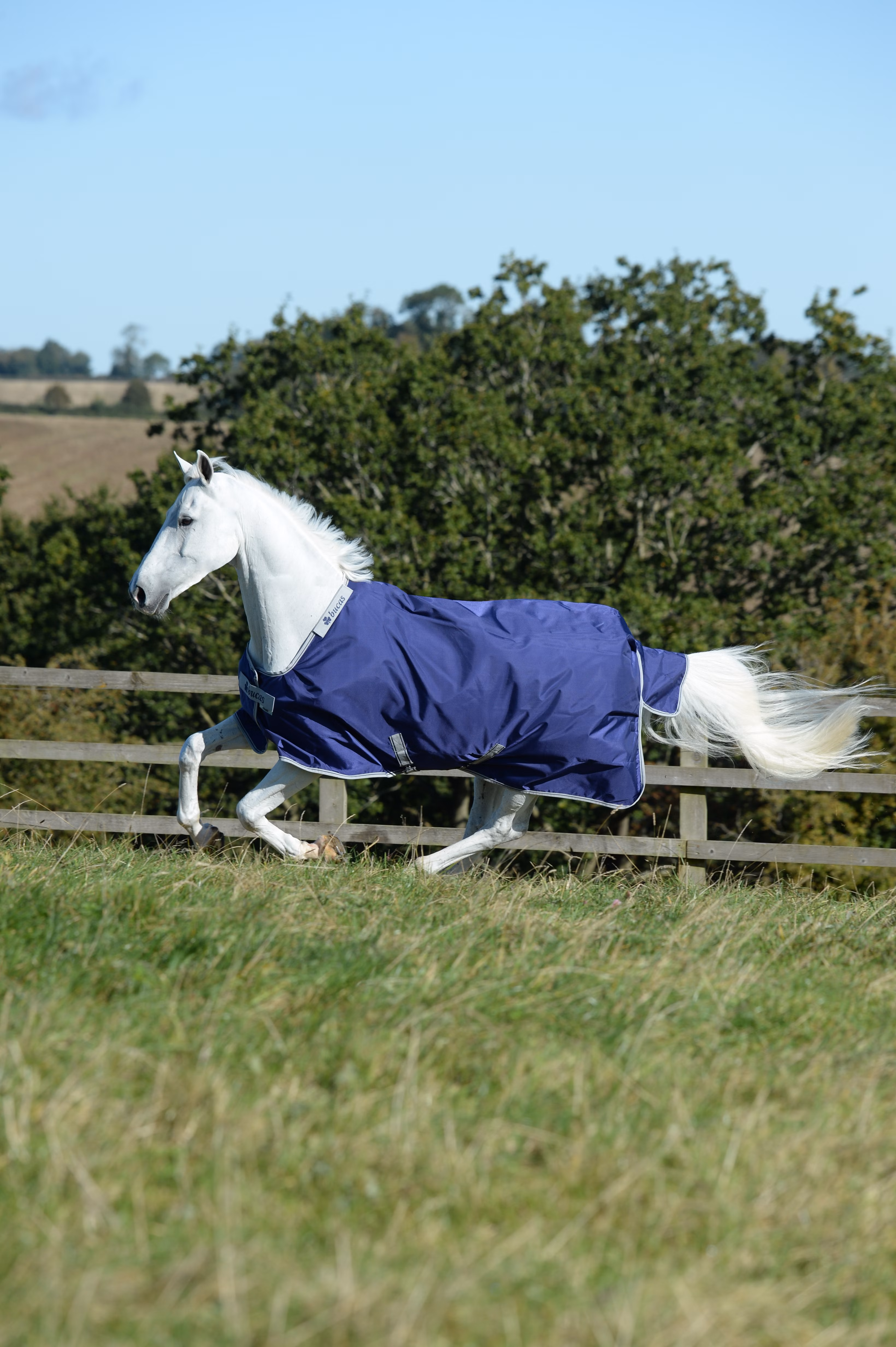 Atlantic Turnout 50g