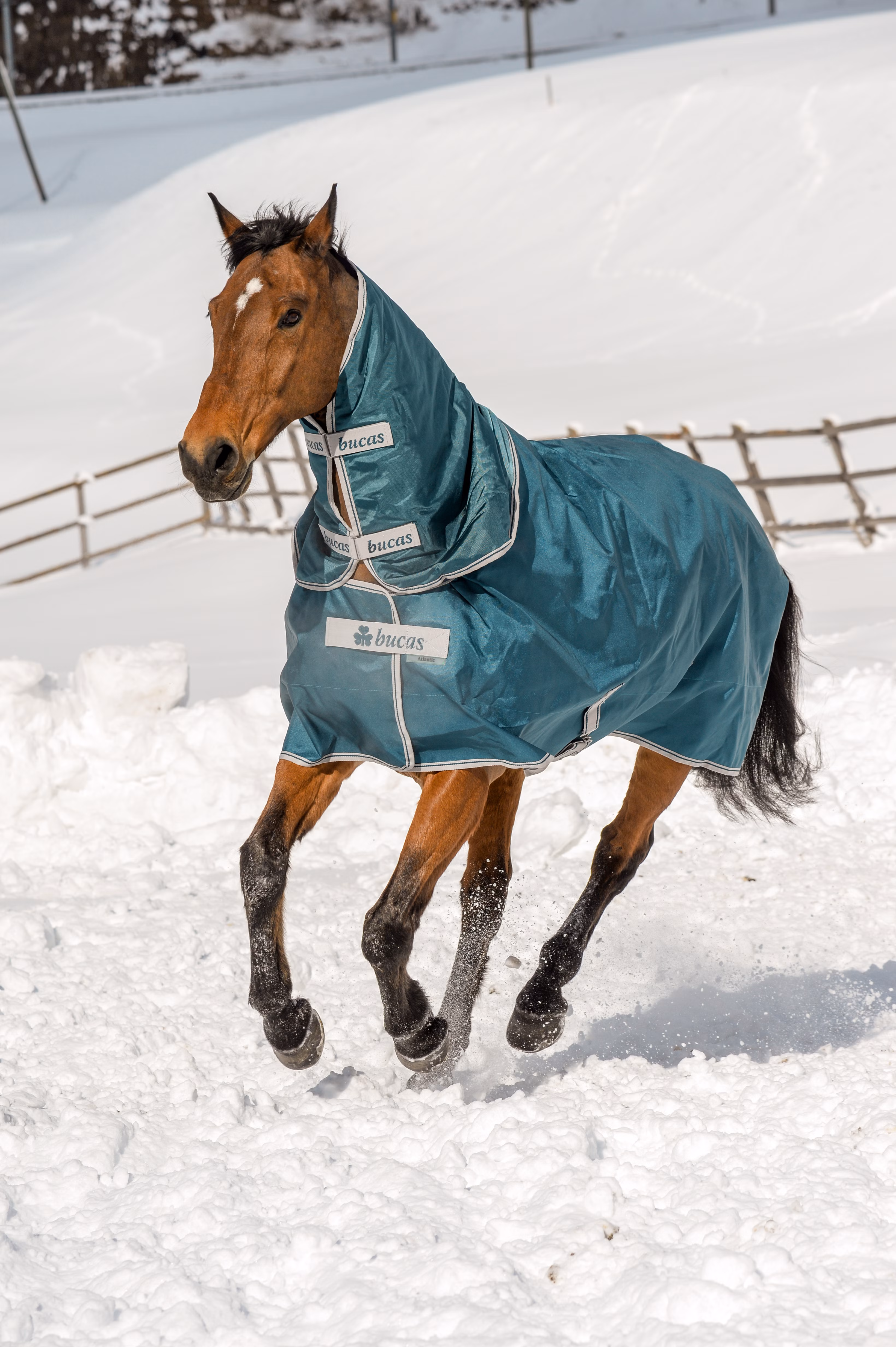 Atlantic Turnout Neck 300g