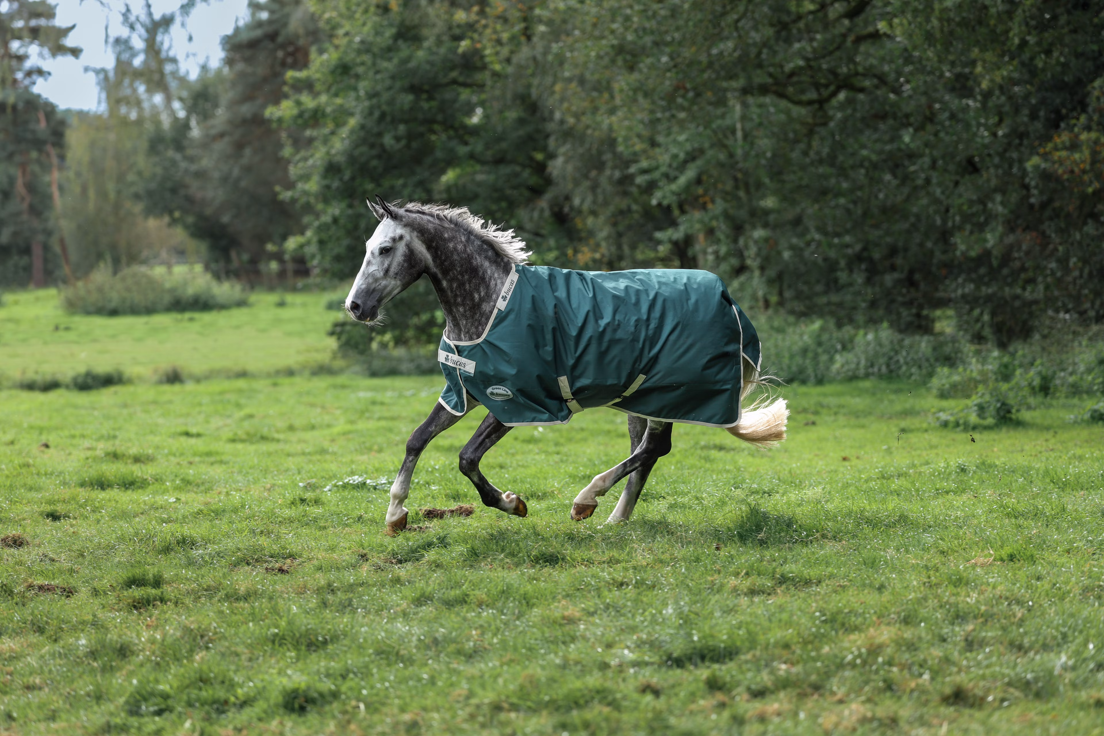 Greenline Turnout 100