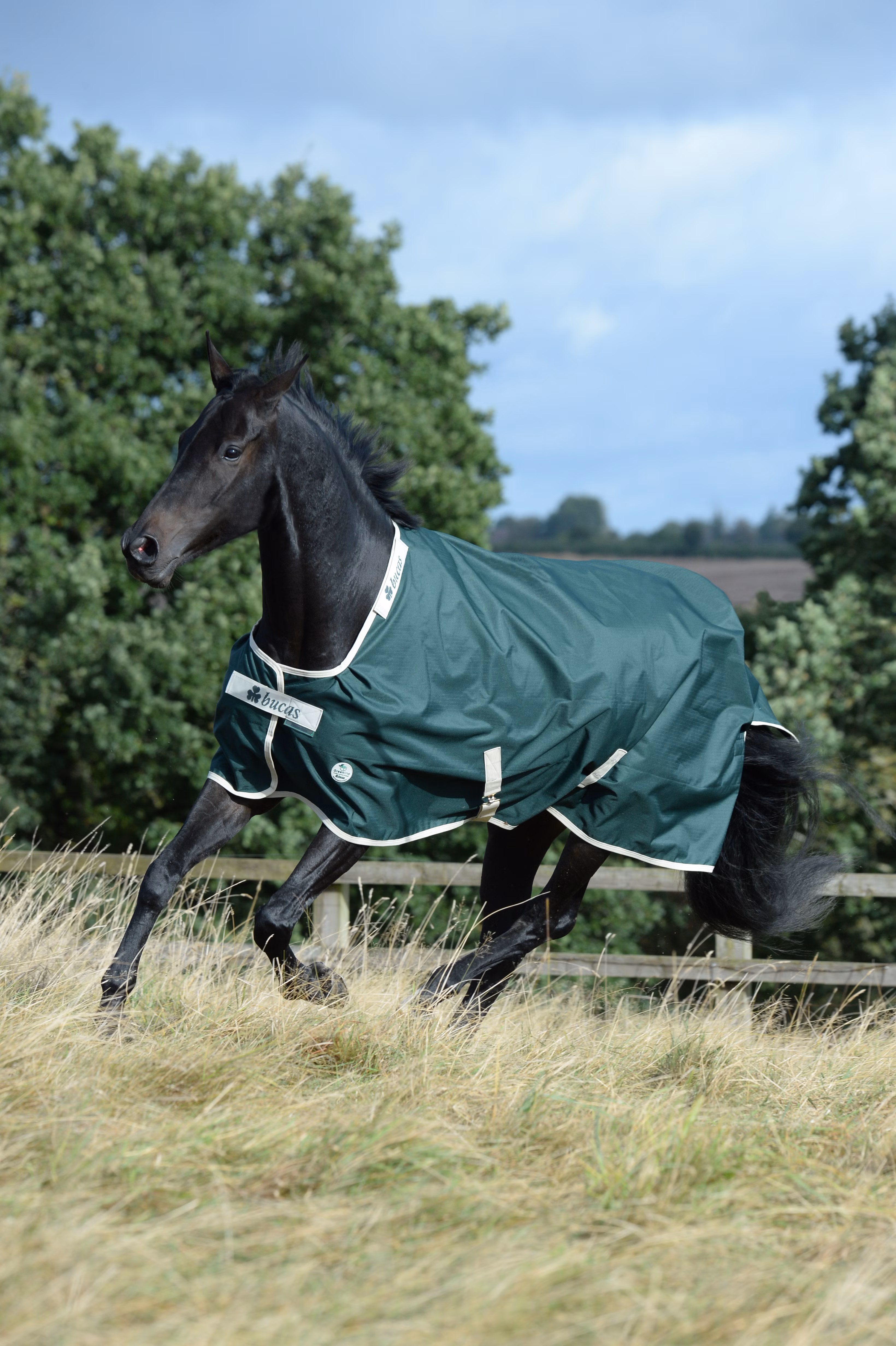 Greenline Turnout 300