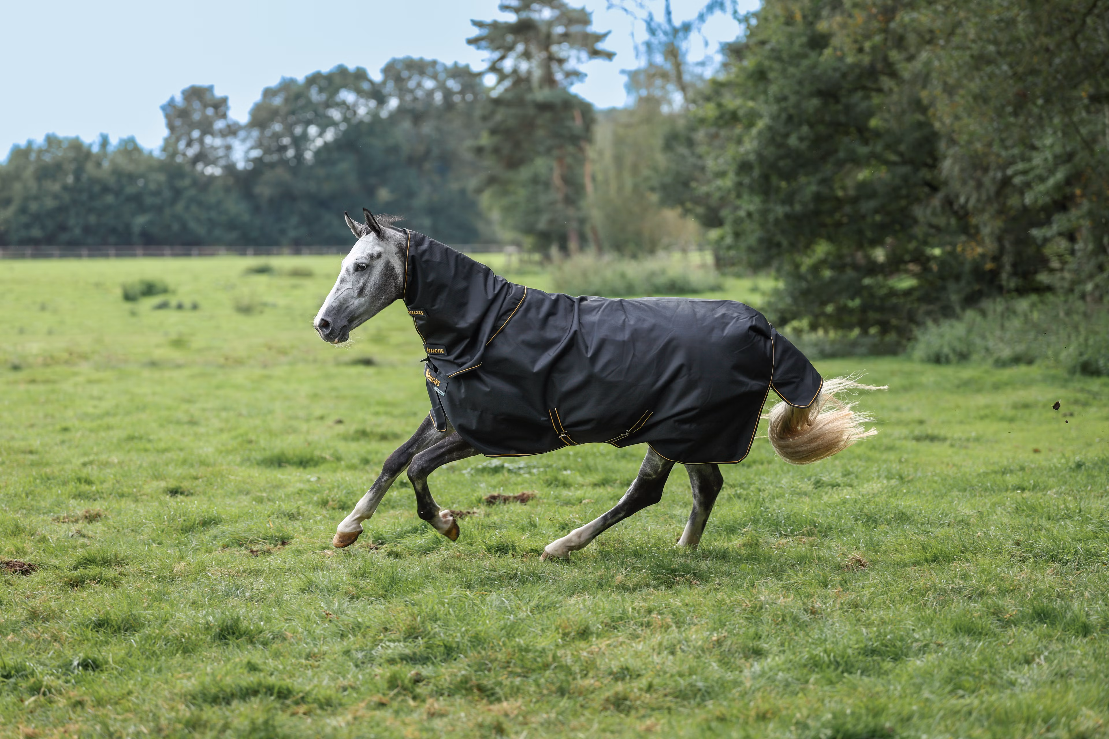 Irish Turnout 50 + Neck