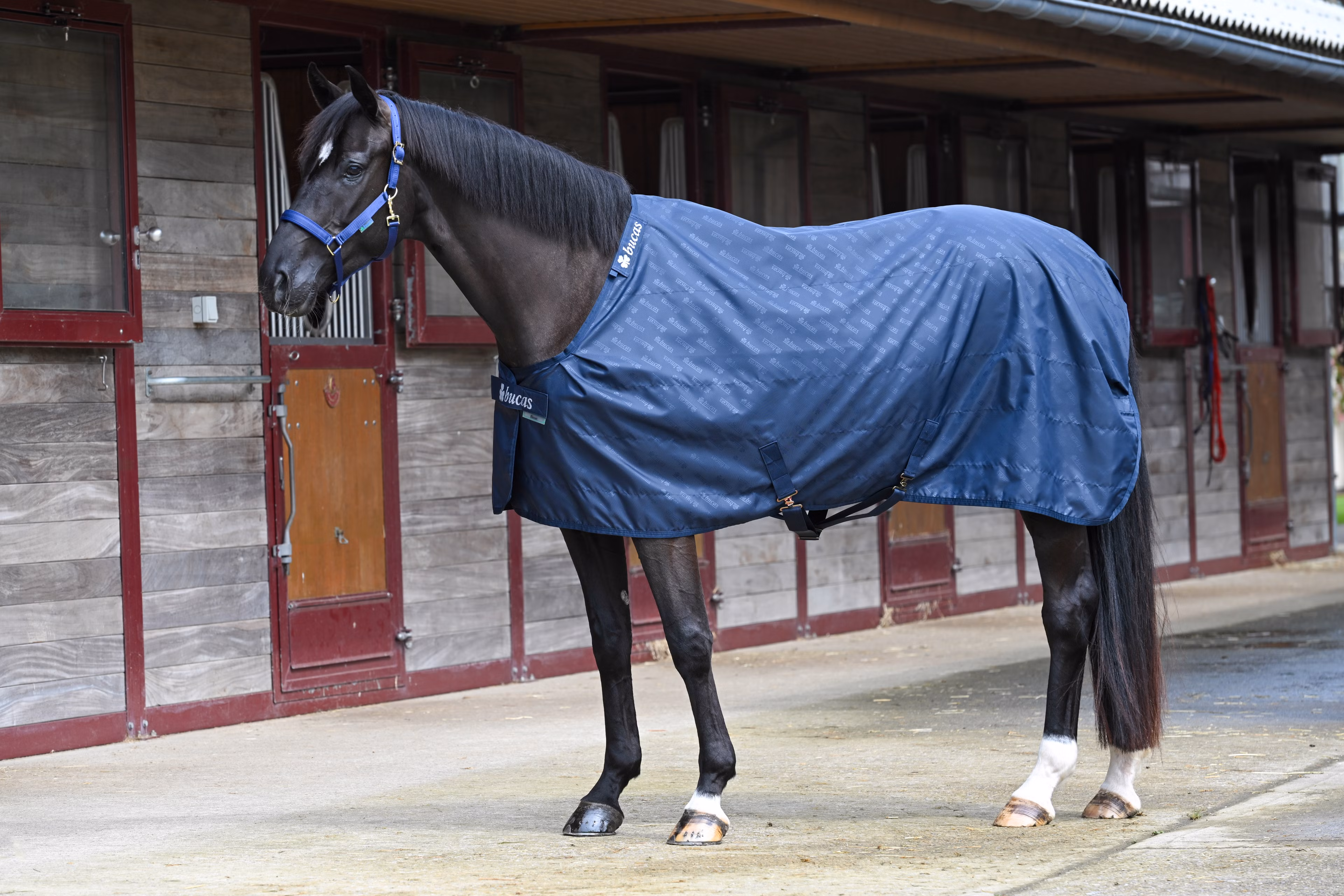 Bucas Stable Sheet