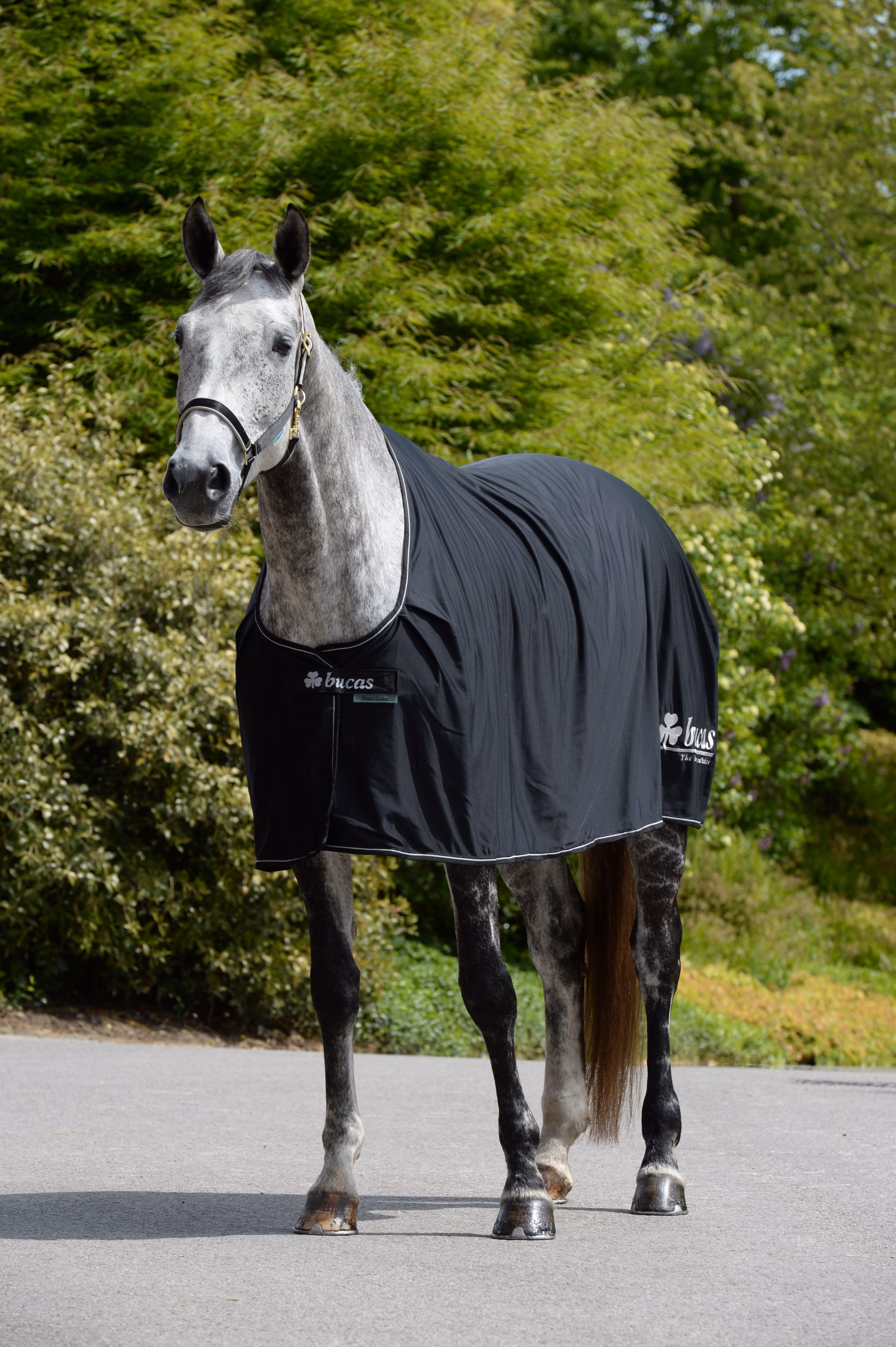 Prize Cooler Black/Silver