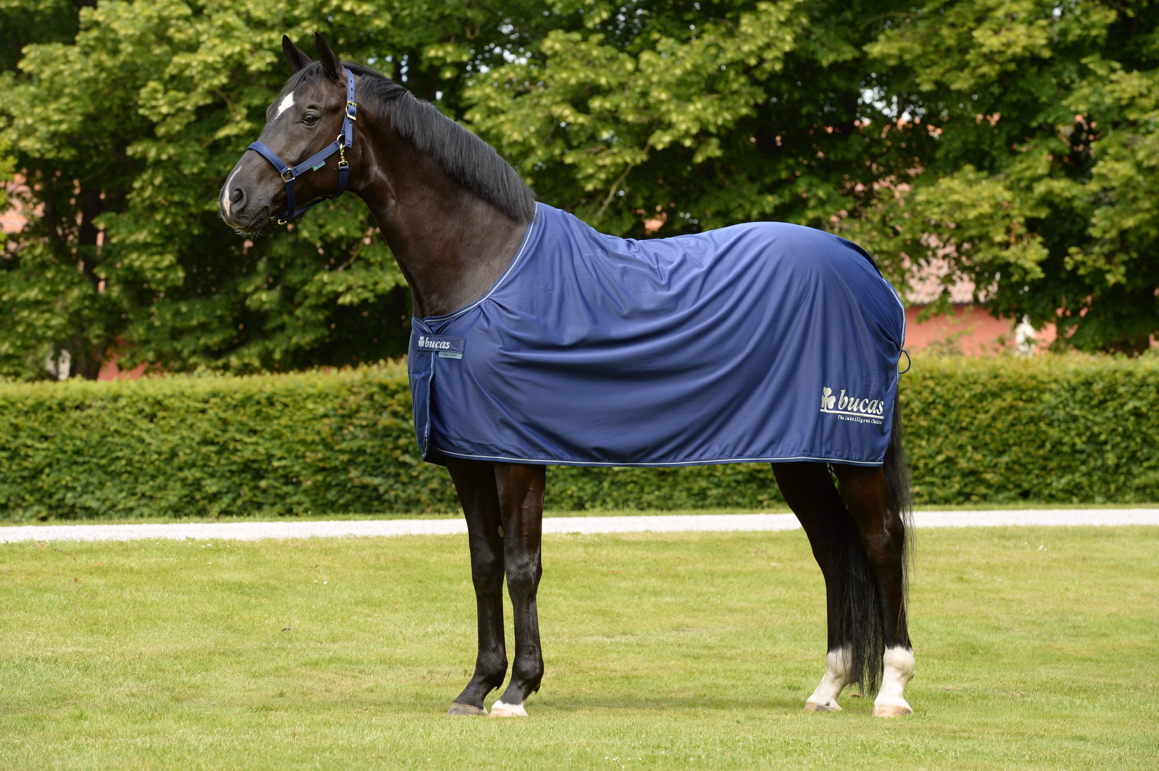 Prize Cooler Navy/Silver