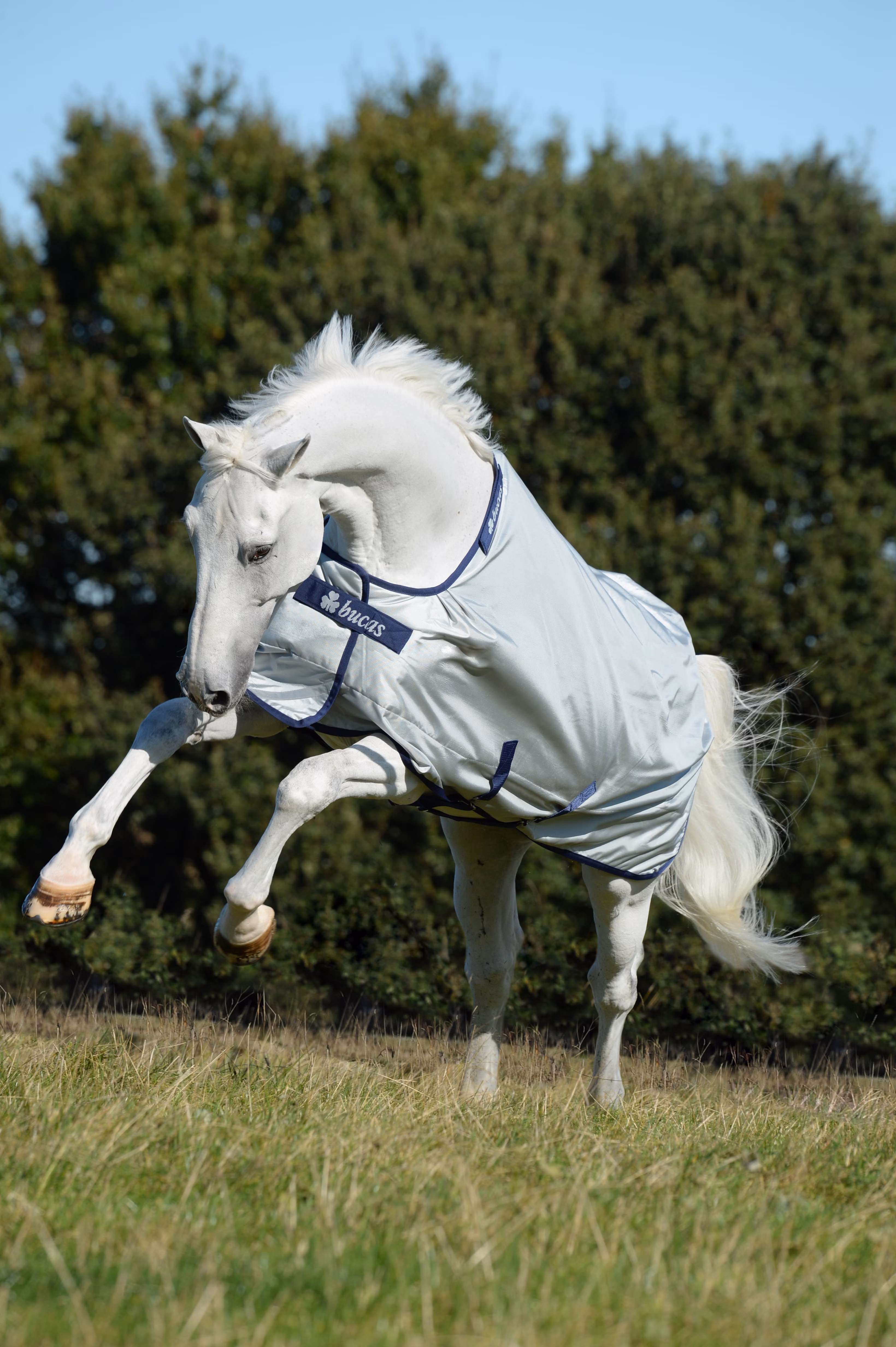 Power Turnout Medium