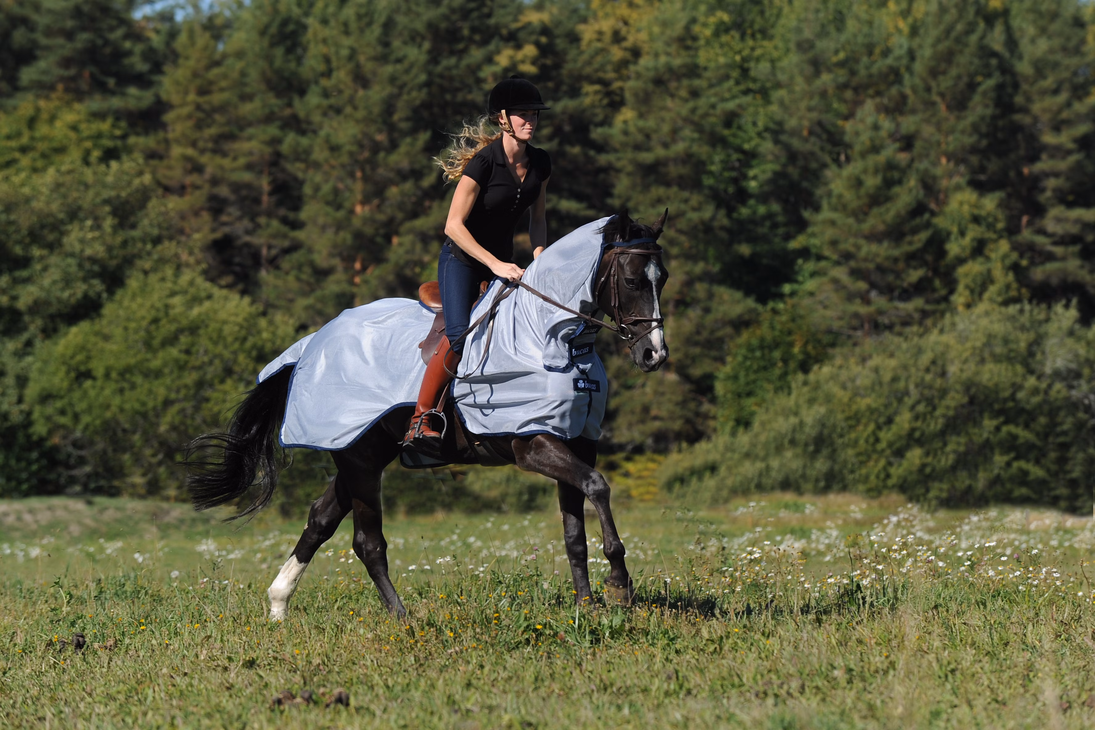 Buzz-Off Riding Blue