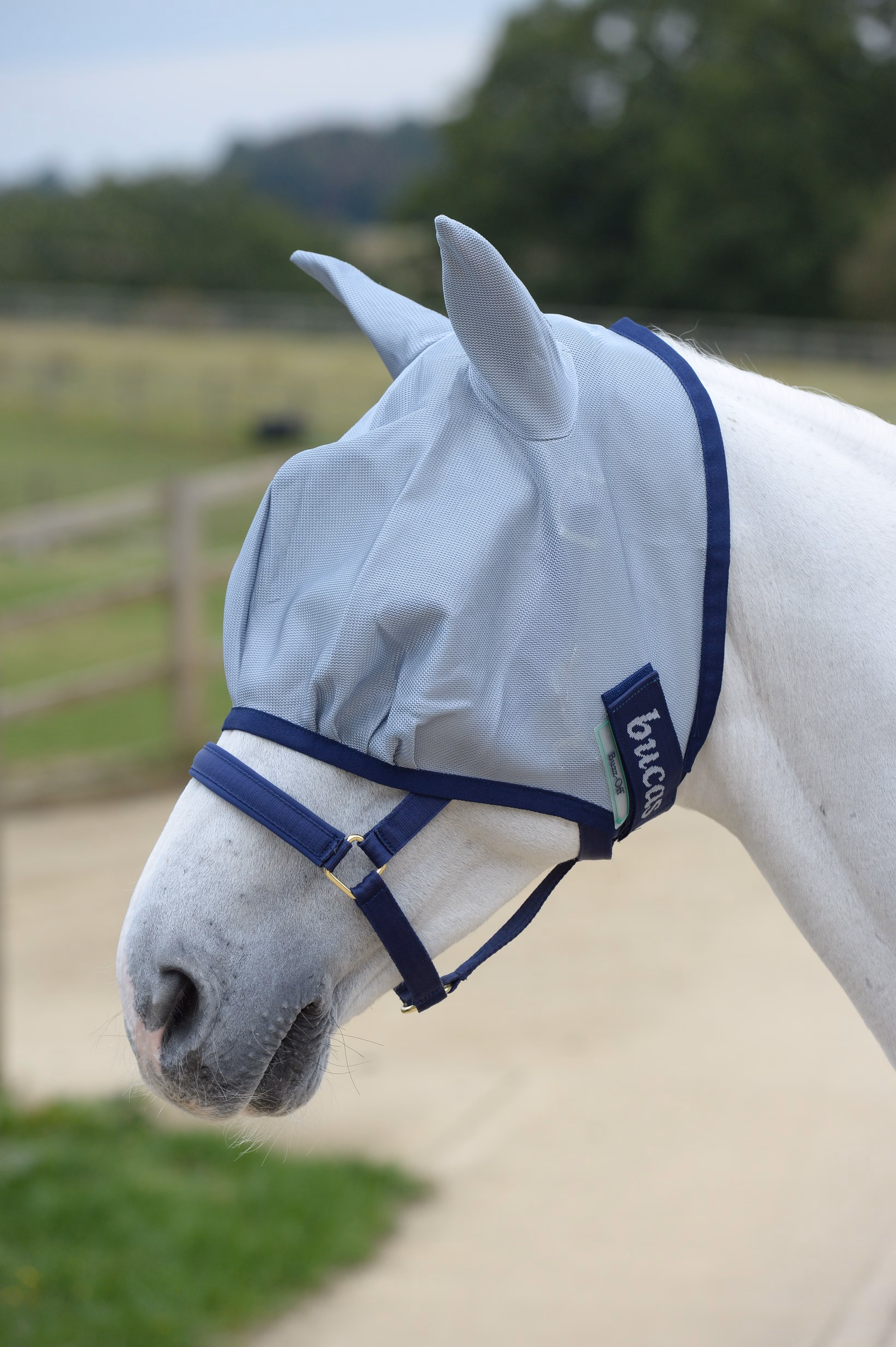 Buzz-Off Fly Mask Blue