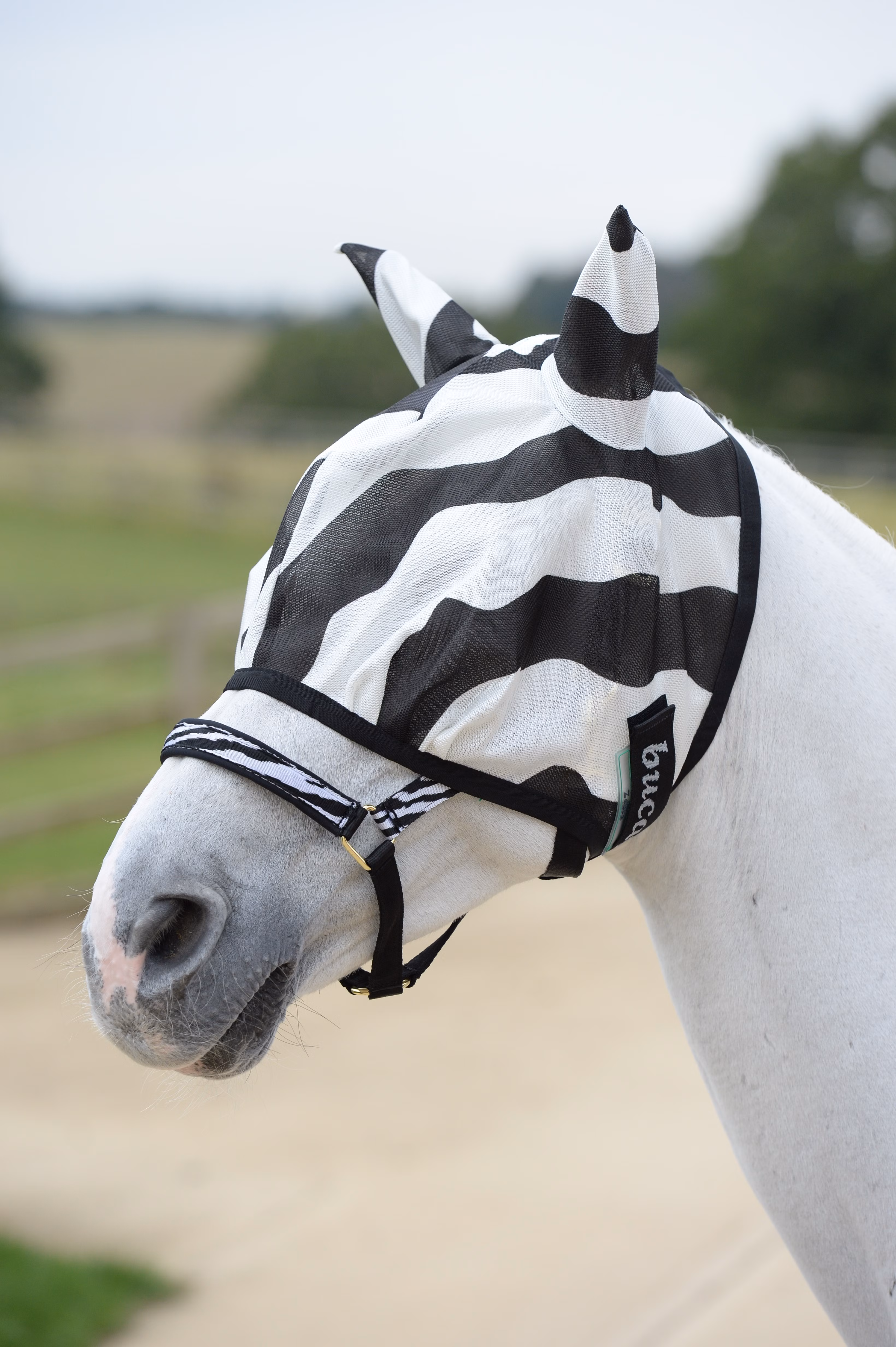 Buzz-Off Zebra Fly Mask Zebra