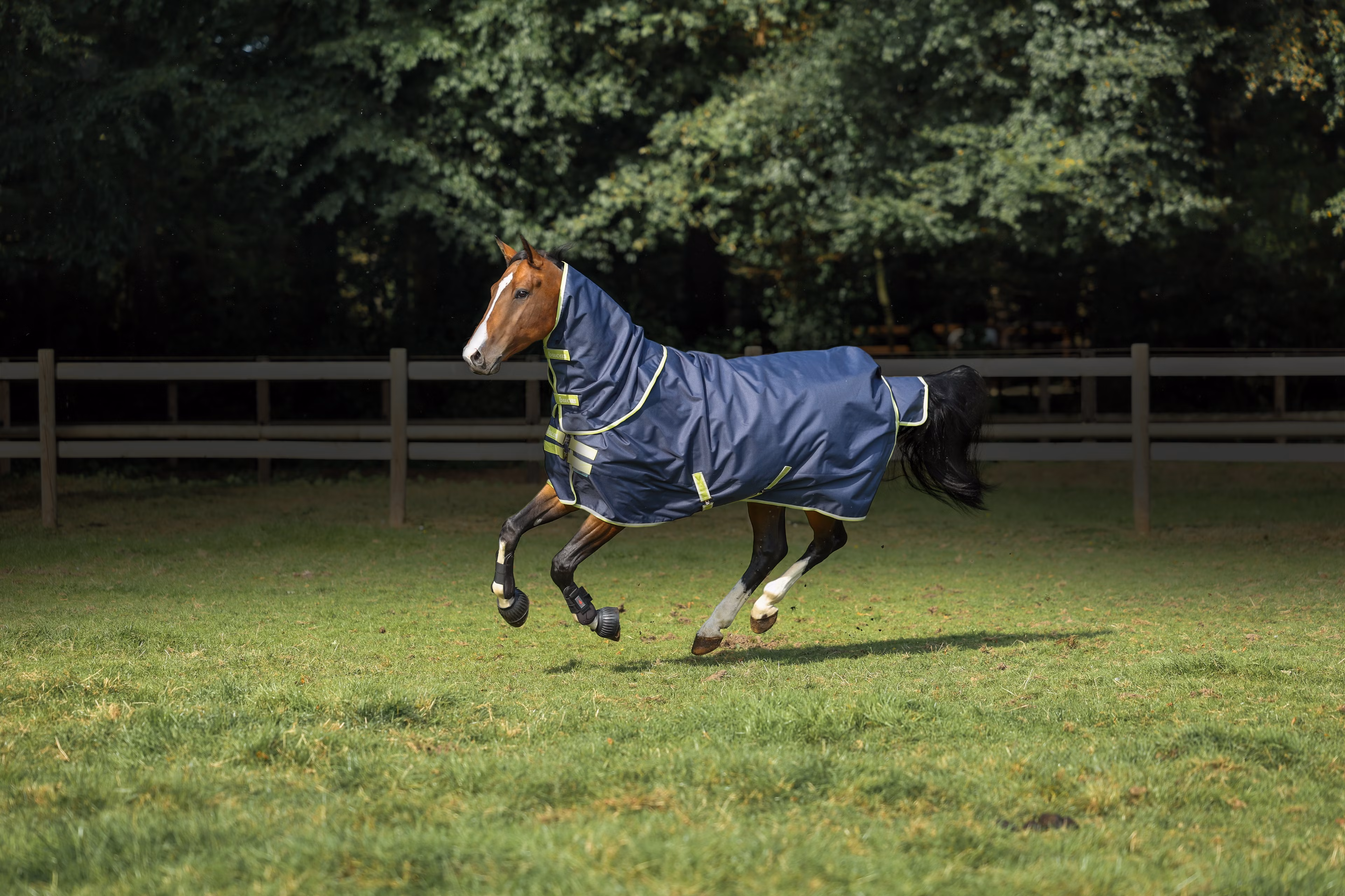 Oasis Turnout 100 + Neck