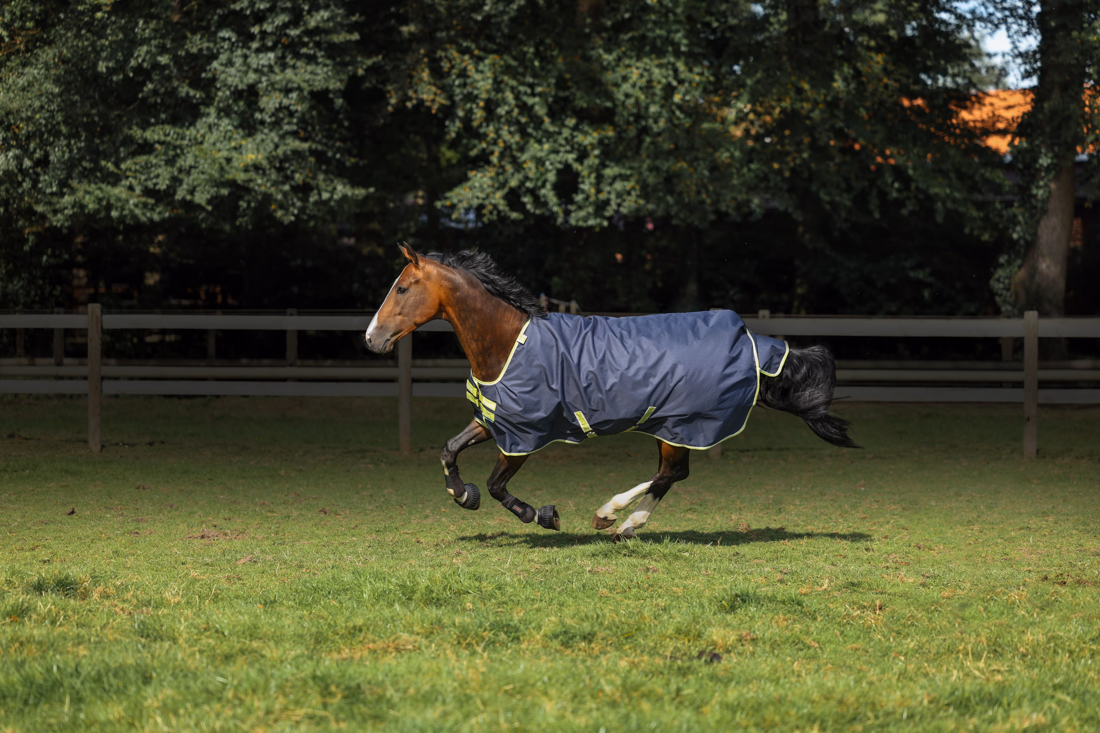 Oasis Turnout 200 + Neck