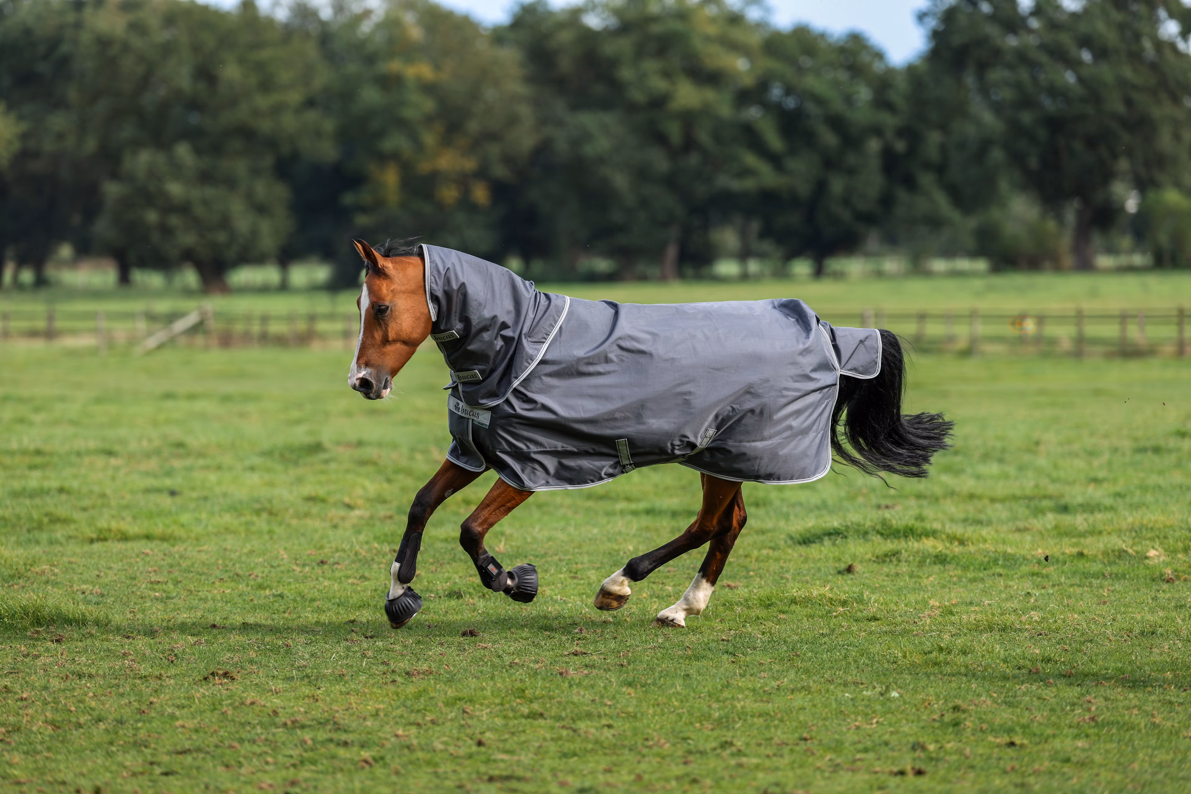 Smartex Neck Iron Gate