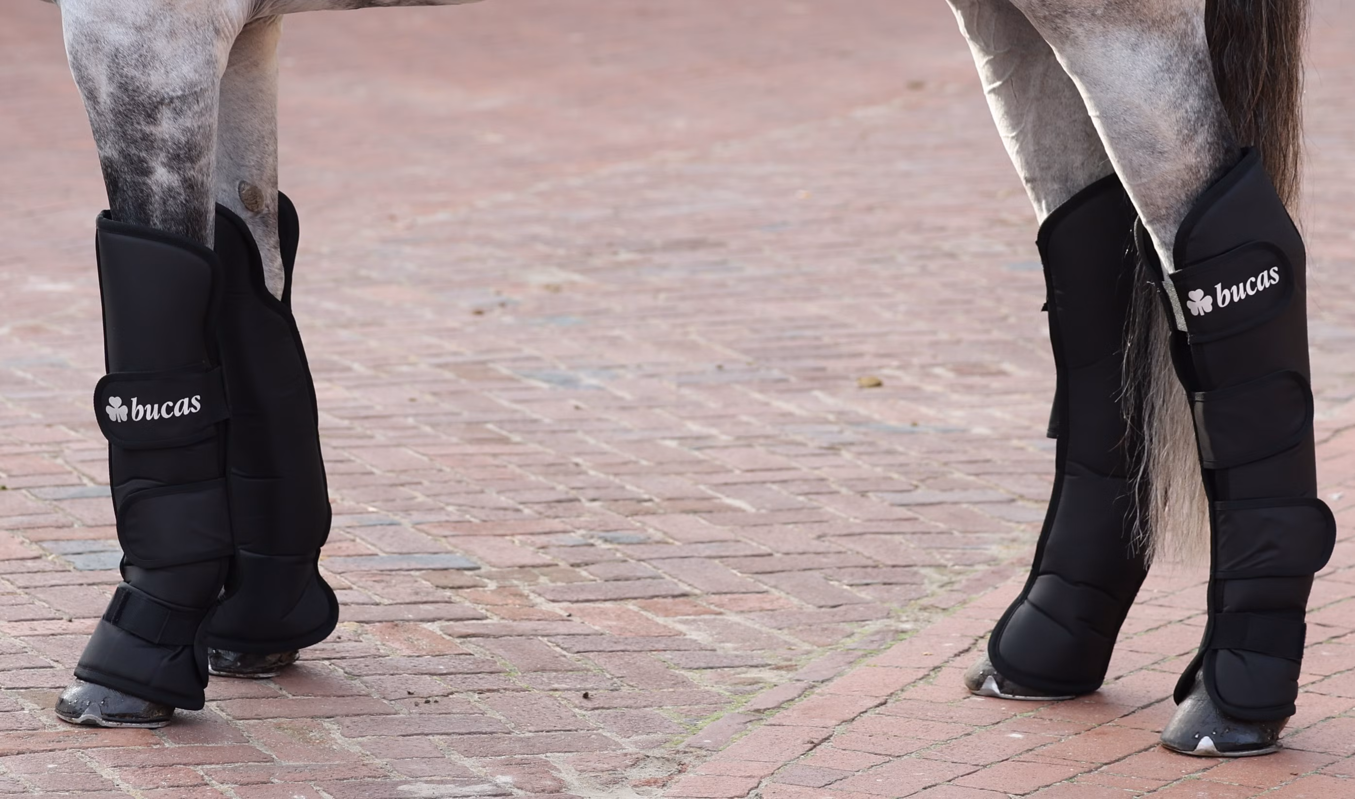 Boots 2020 Navy/Navy