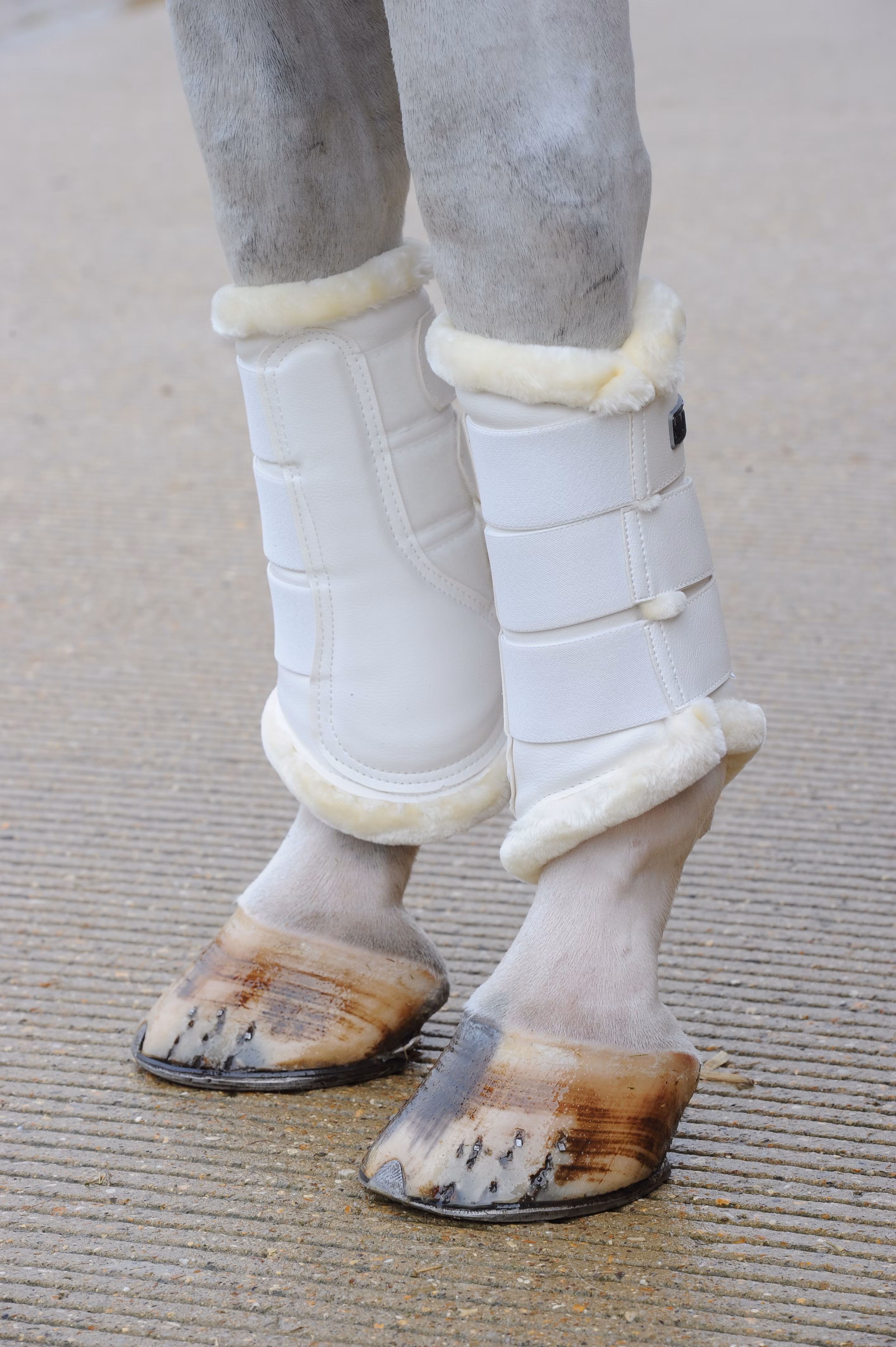 Bucas Brushing Boots White