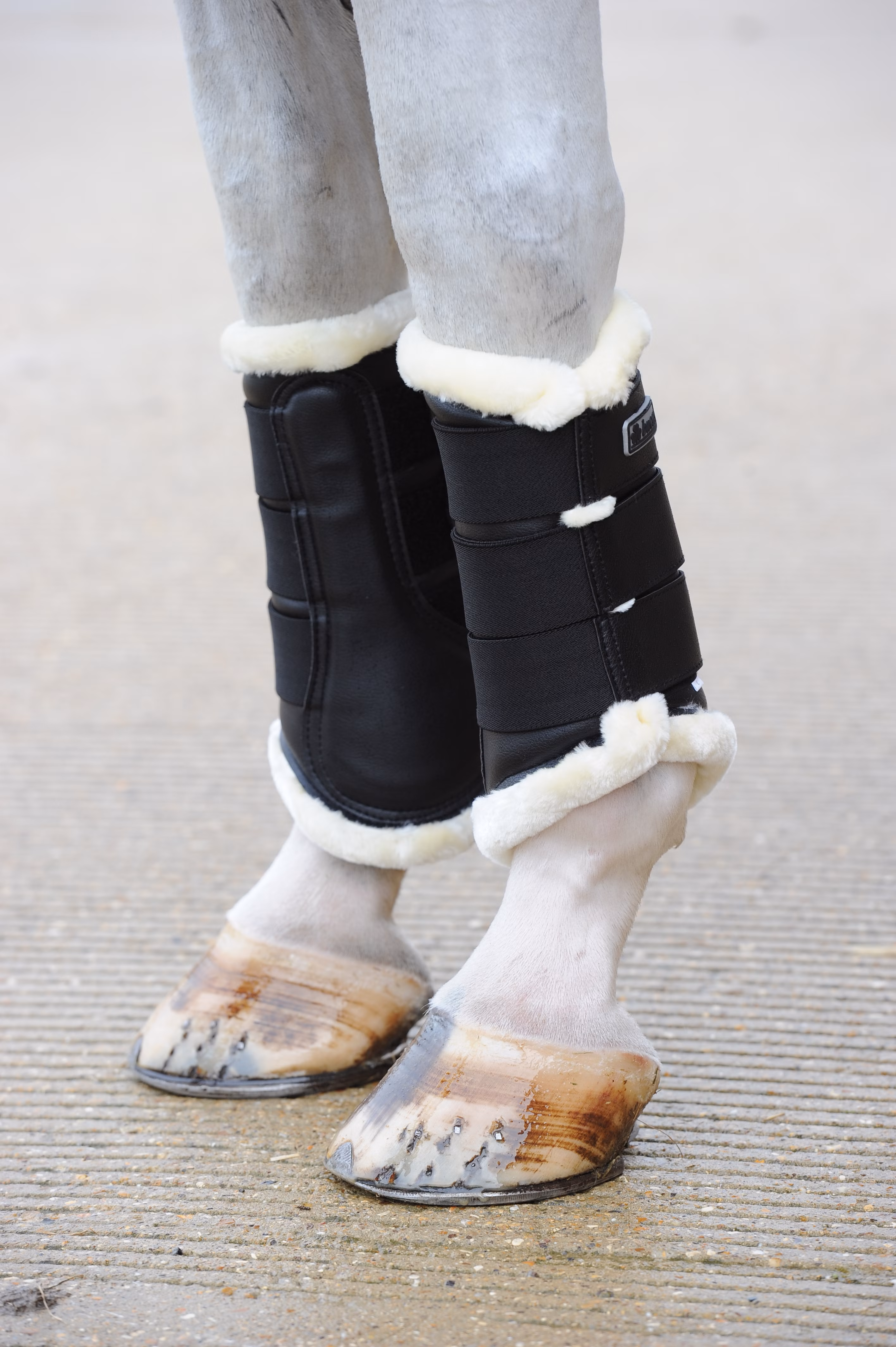 Bucas Brushing Boots Black