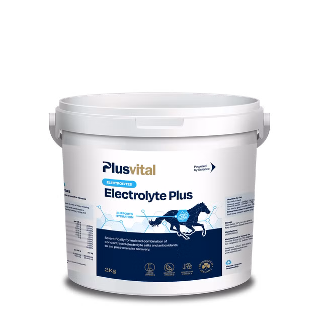Plusvital Electrolyte Plus