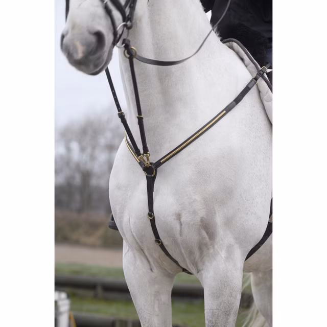 Fortøy m/Messingdekor Brun Full