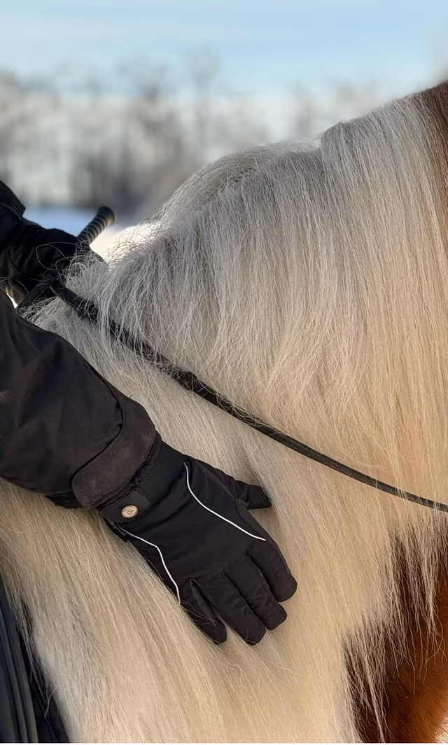 Ridehanske Heimer Termo