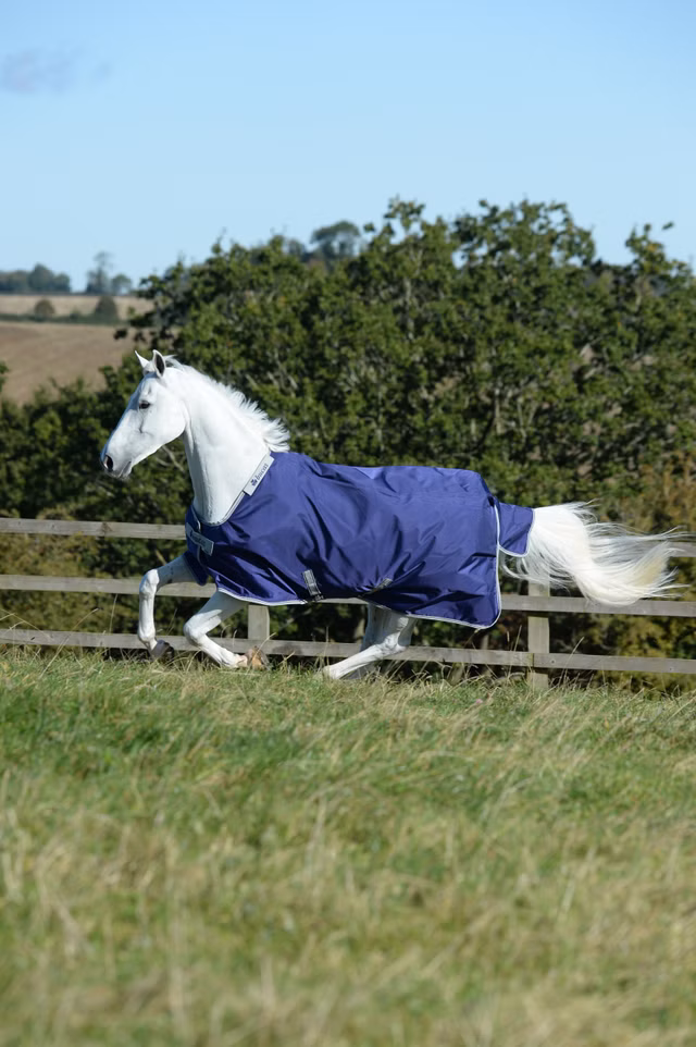 Atlantic Turnout 50g