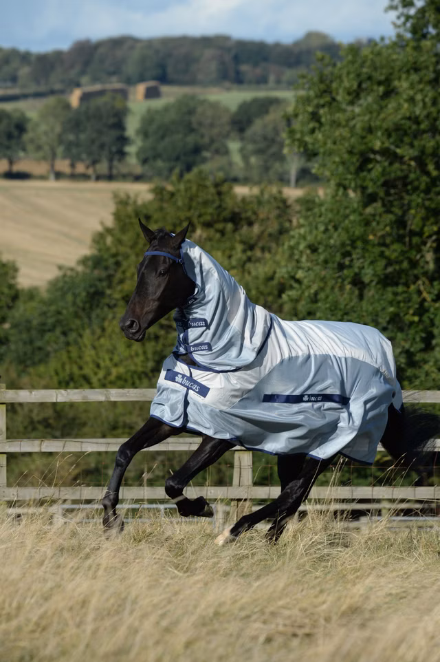 Buzz-off Rain & Neck Silver/Blue