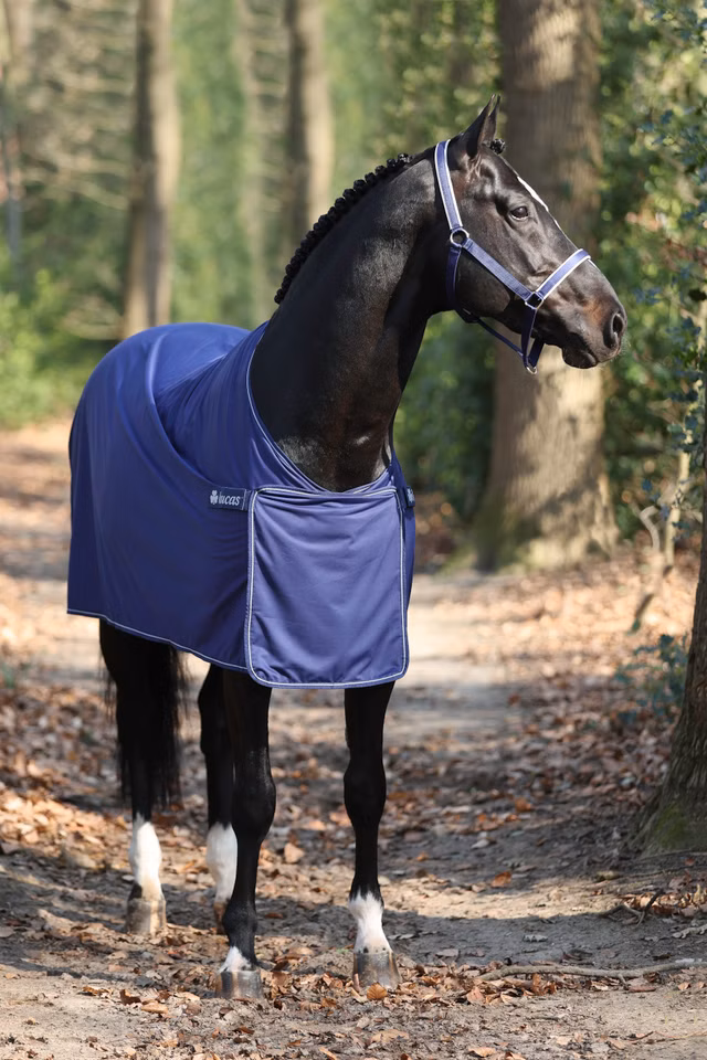 Panel Prize Cooler Navy/Silver