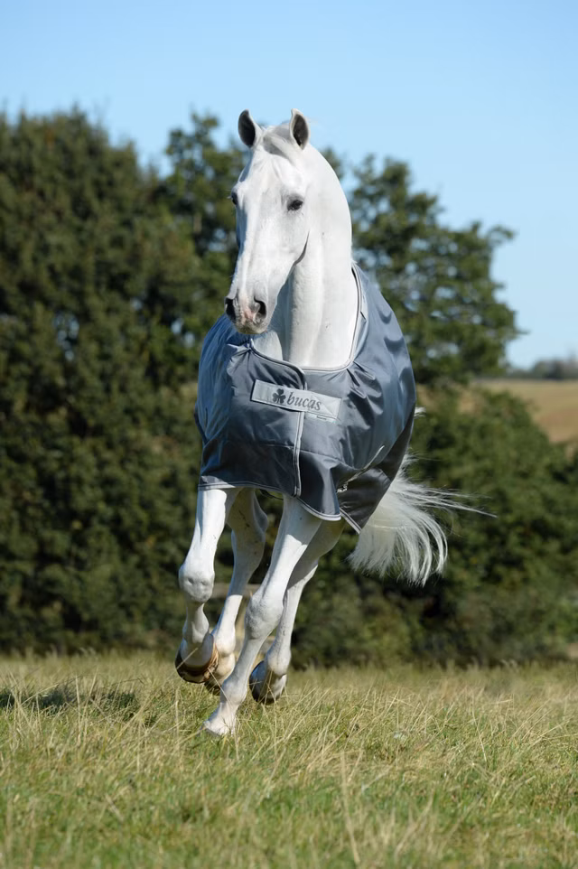 Smartex Rain Iron Gate