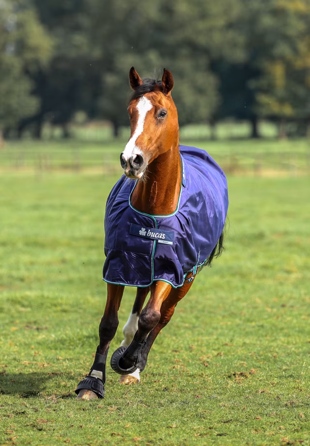 Smartex Rain Big Neck