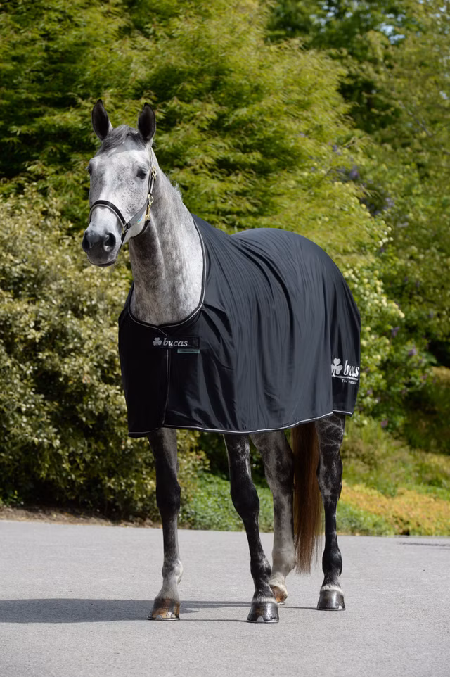 Prize Cooler Black/Silver