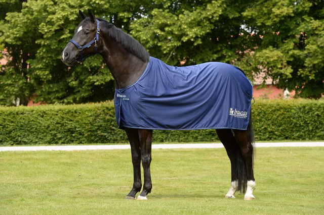 Prize Cooler Navy/Silver