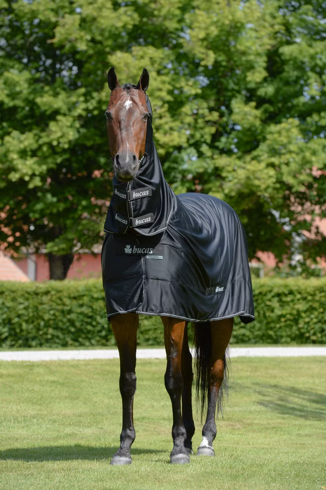 Shamrock Power Full Neck