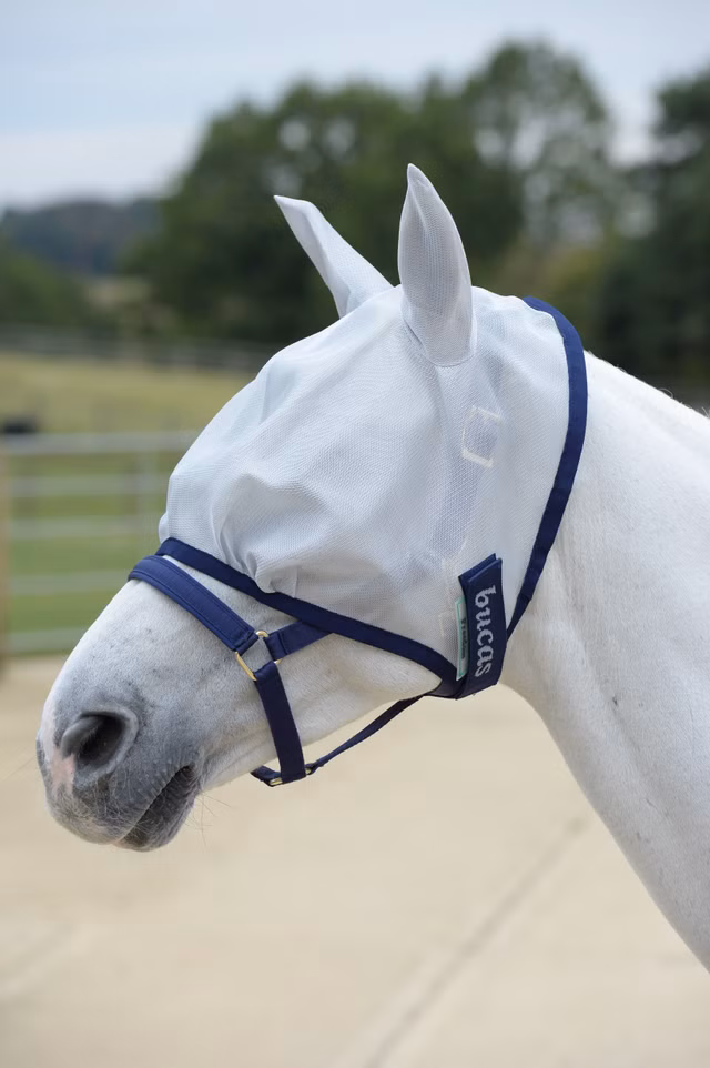 Freedom Fly Mask Silver