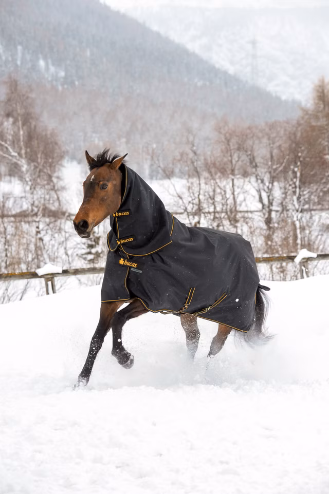 Irish Neck Black/Gold