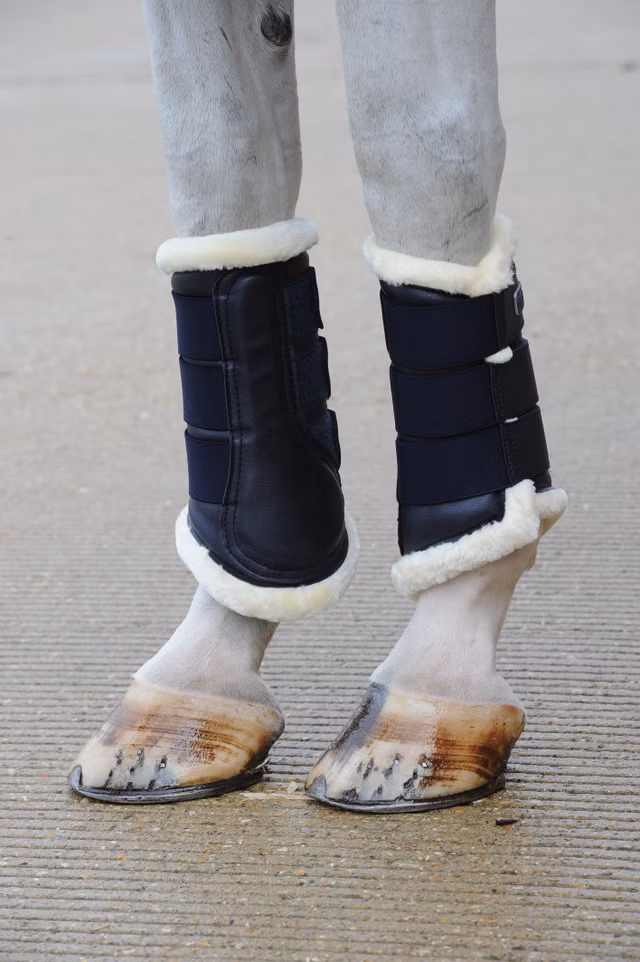 Bucas Brushing Boots Navy