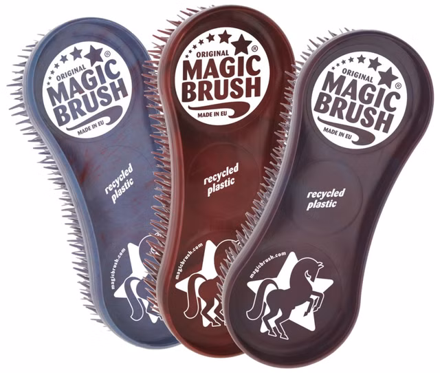 MagicBrush CornFlowers Recycled Set